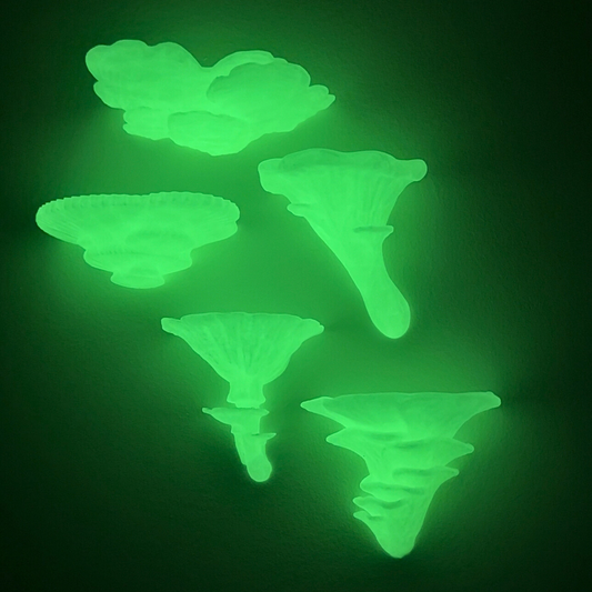 Glow in the Dark Floating Mushroom Shelves