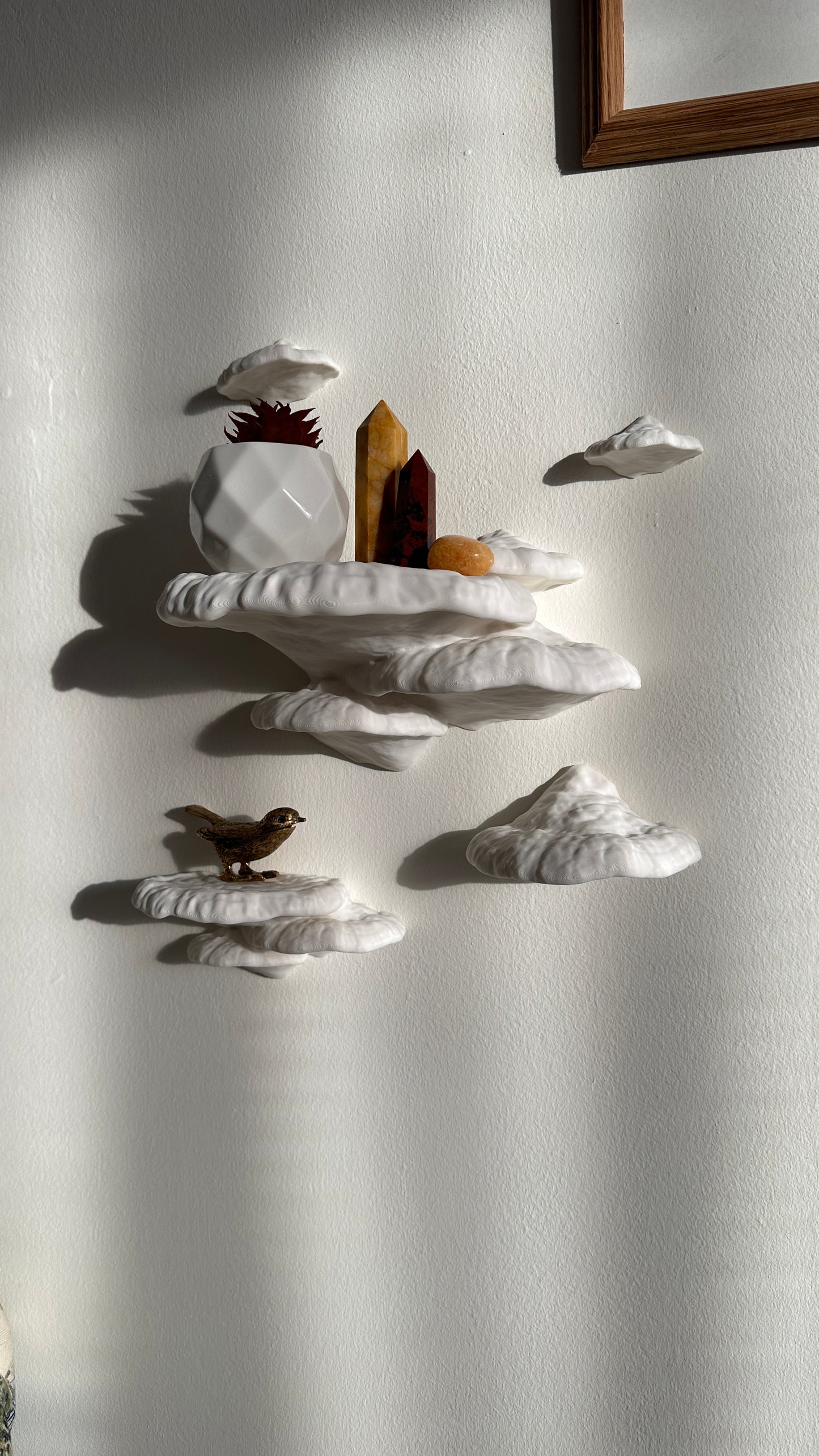 Pinicula Floating Mushroom Shelves