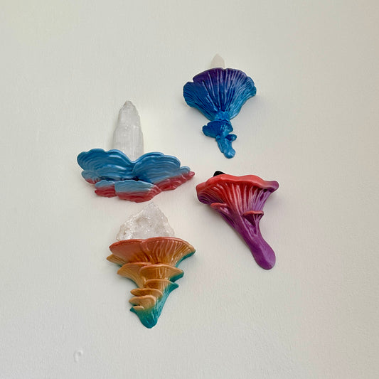 Limited Edition Rainbow Mushroom Shelves