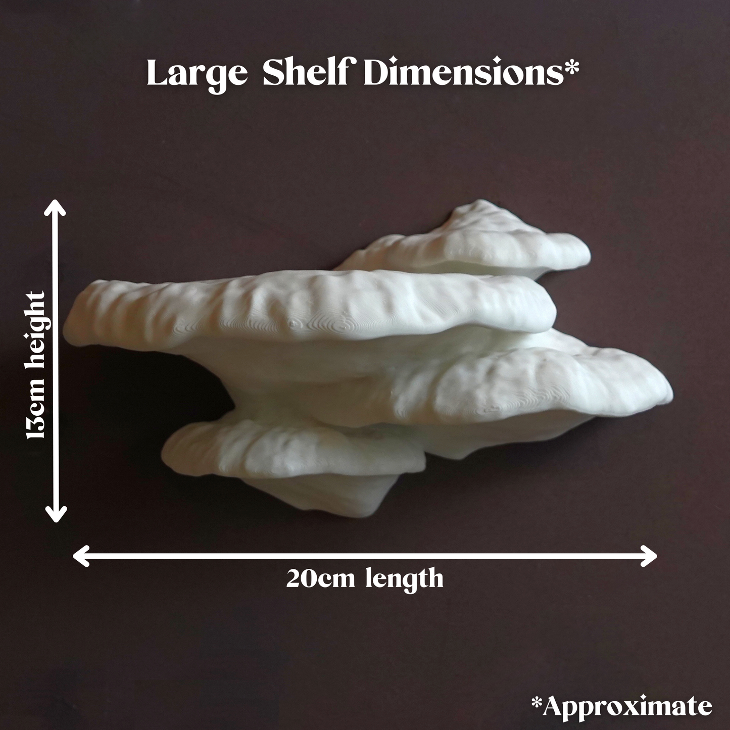 Pinicula Floating Mushroom Shelves