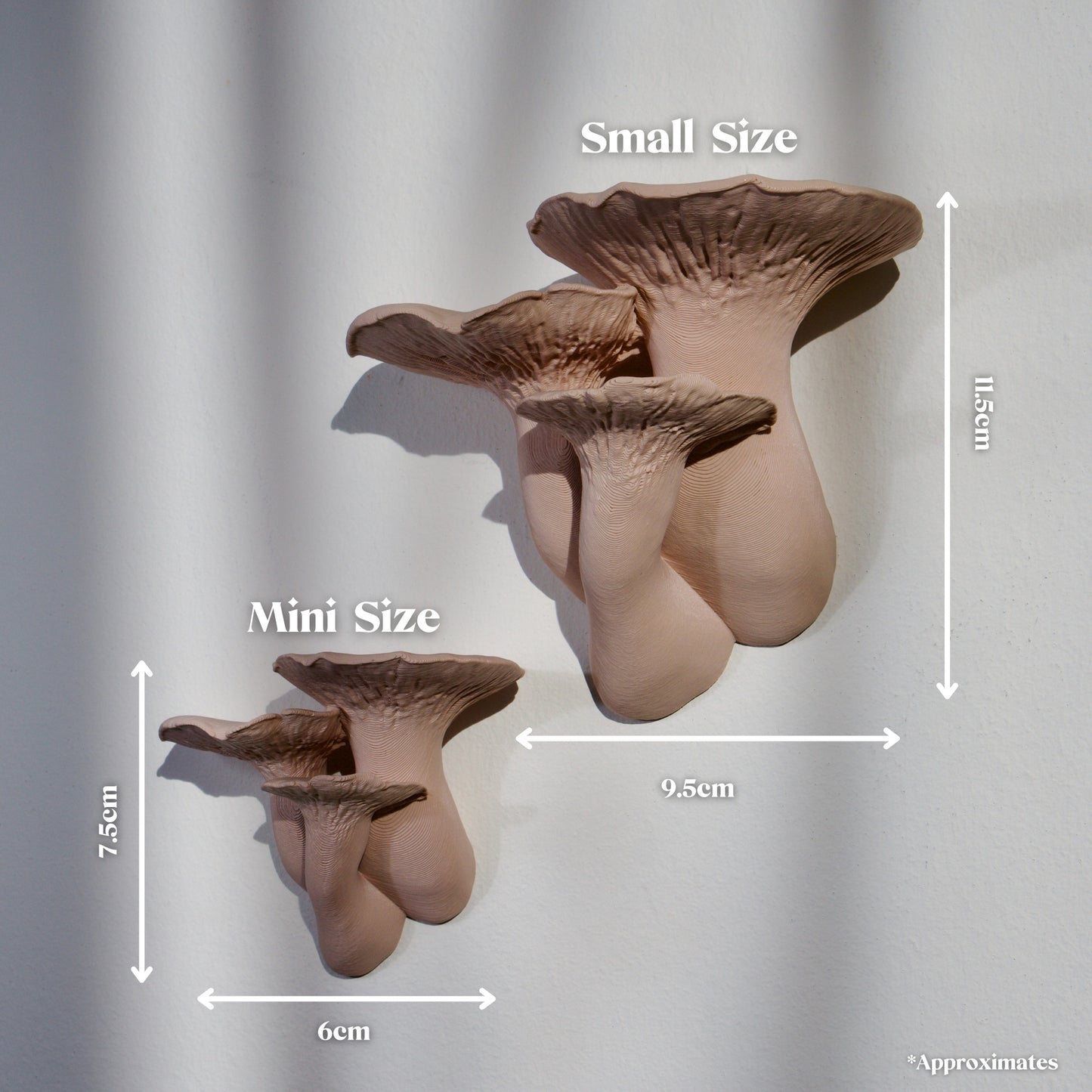 Trumpet Mushroom Shelf - Fairycore & Cottagecore Wall Decor