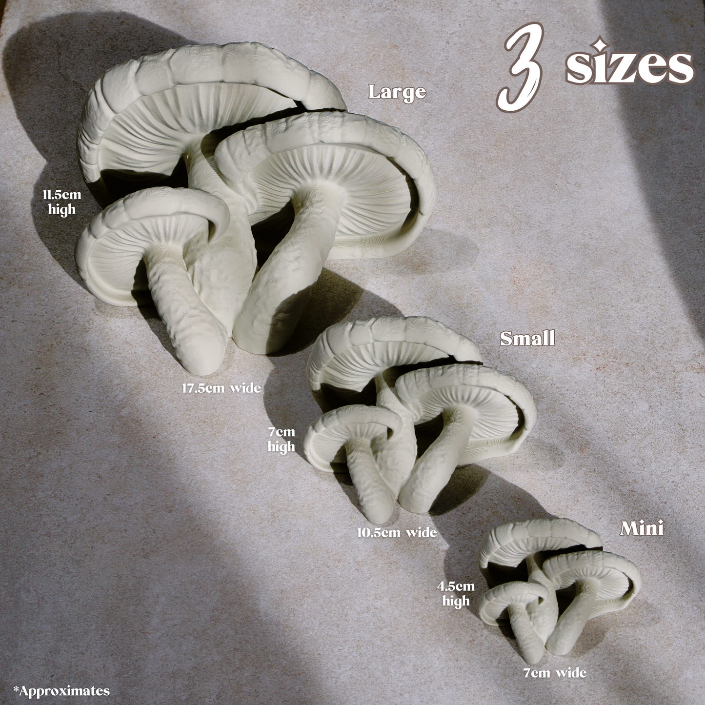 Shiitake Mushroom Shelves