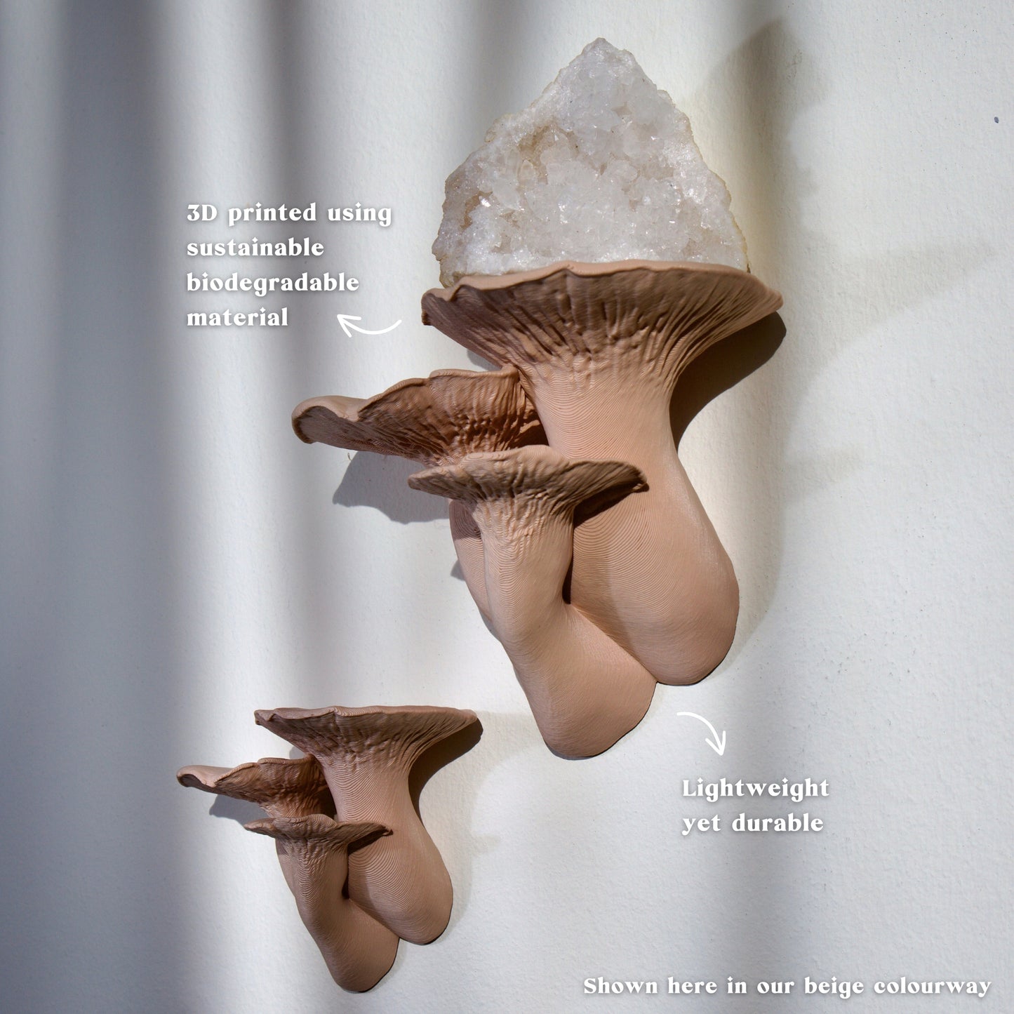 Trumpet Mushroom Shelf - Fairycore & Cottagecore Wall Decor