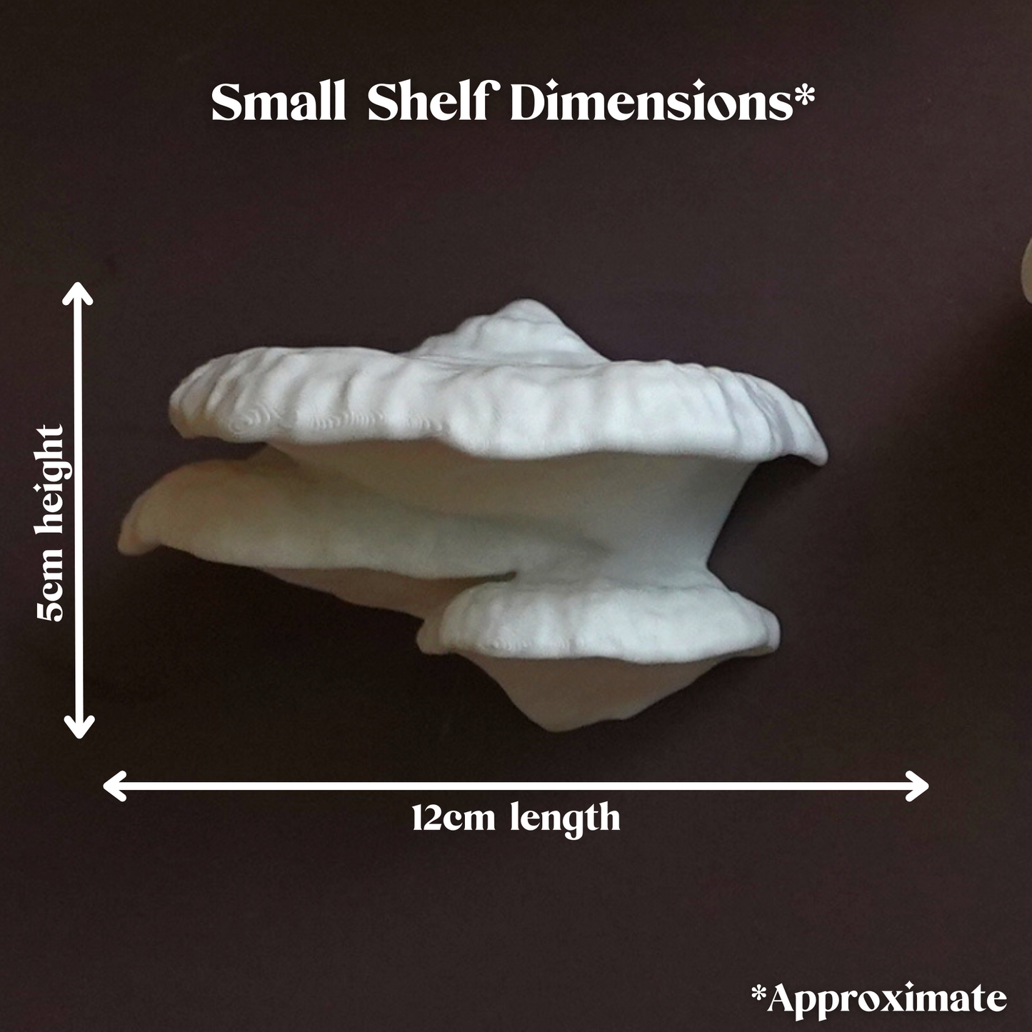 Pinicula Floating Mushroom Shelves