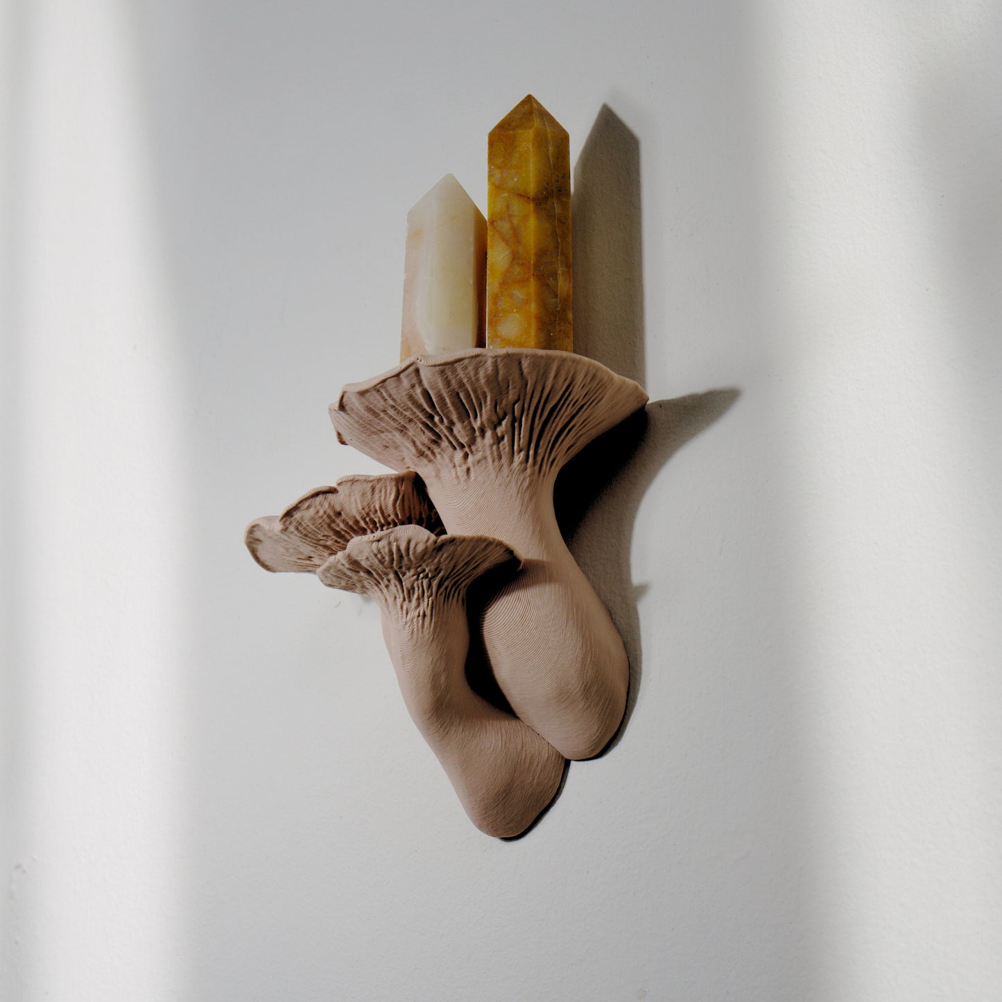 Trumpet Mushroom Shelf - Fairycore & Cottagecore Wall Decor