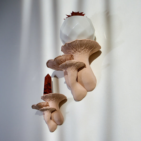 Trumpet Mushroom Shelf - Fairycore & Cottagecore Wall Decor