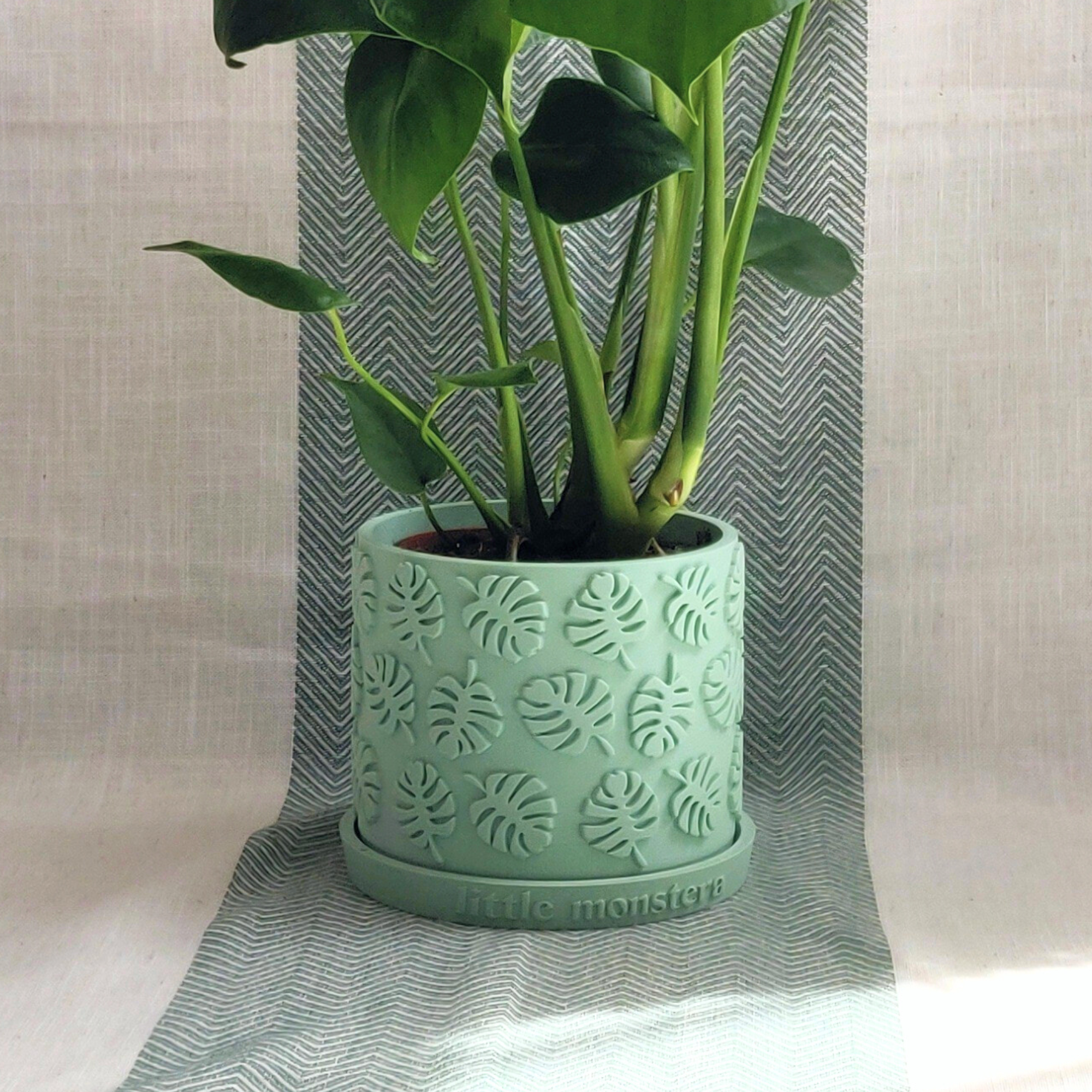 dark green indoor plant pot Monstera Leaf Plant Pot with Personalised Drip Tray | Planter with Drainage