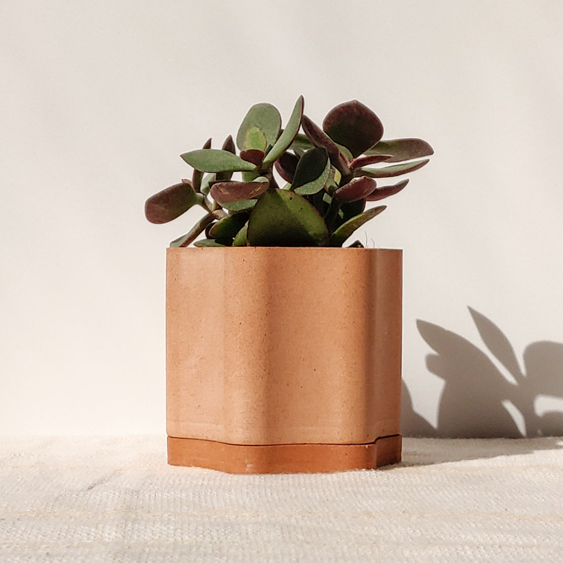 Wavy Flower Plant Pot with Water Tray and Drainage Hole