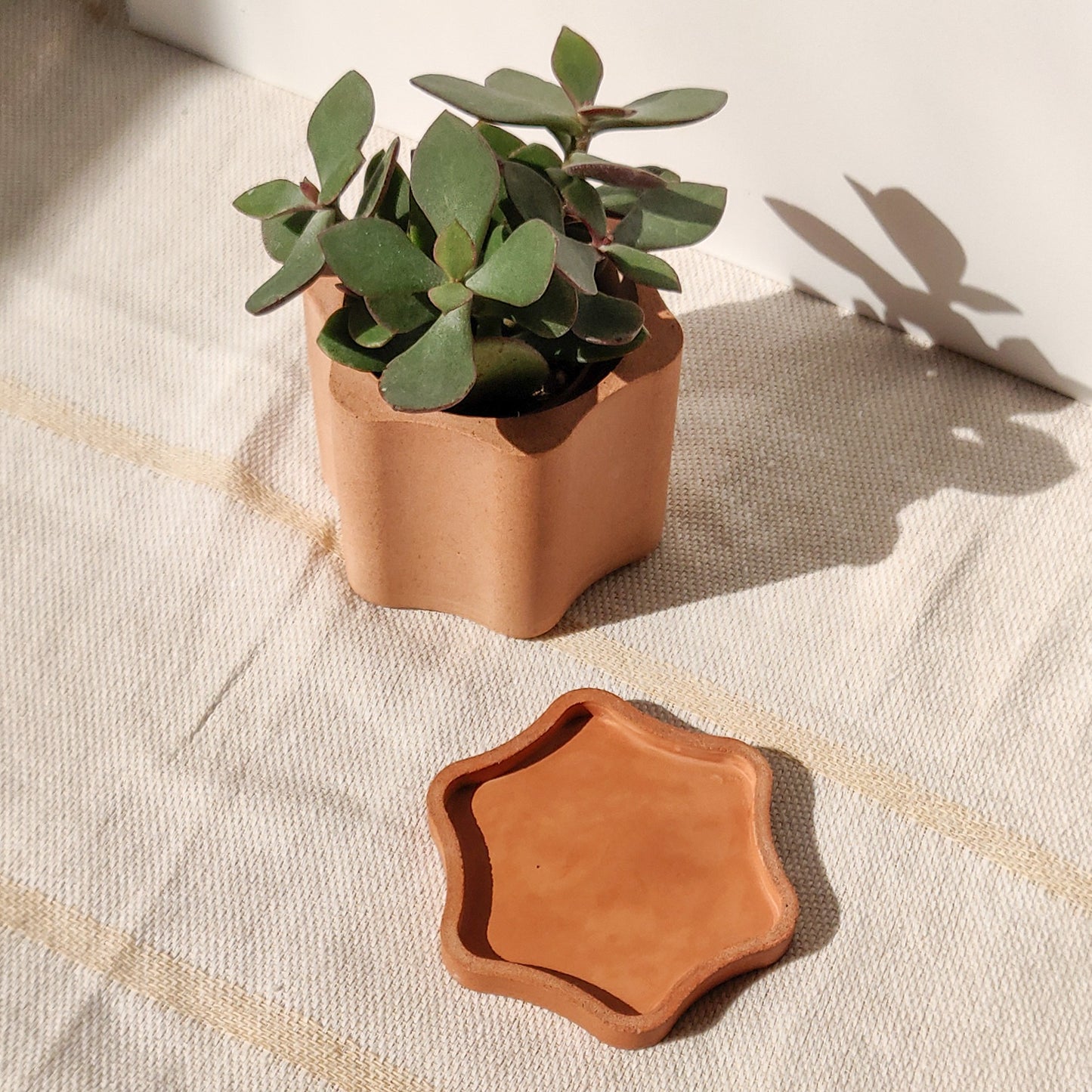 Wavy Flower Plant Pot with Water Tray and Drainage Hole
