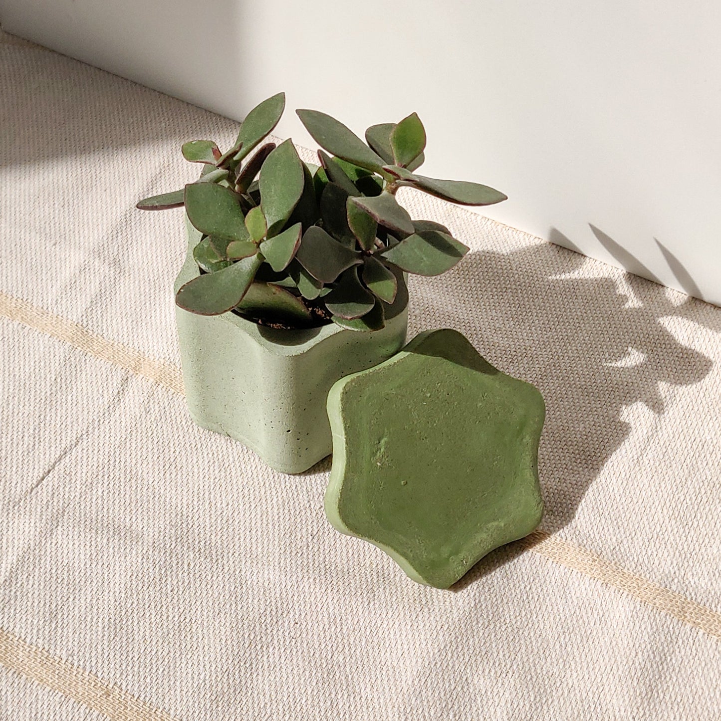 Wavy Flower Plant Pot with Water Tray and Drainage Hole
