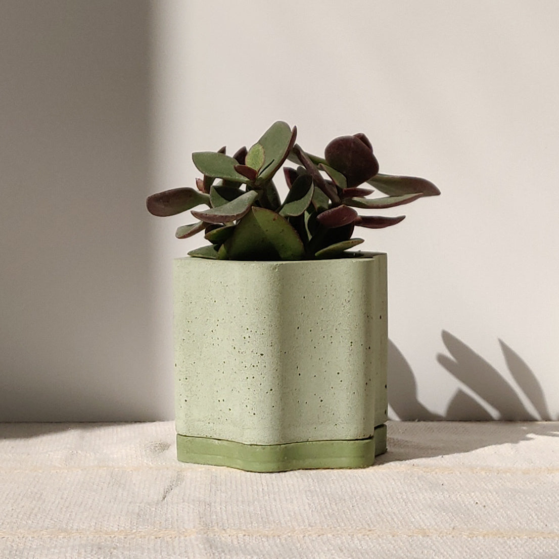 Wavy Flower Plant Pot with Water Tray and Drainage Hole