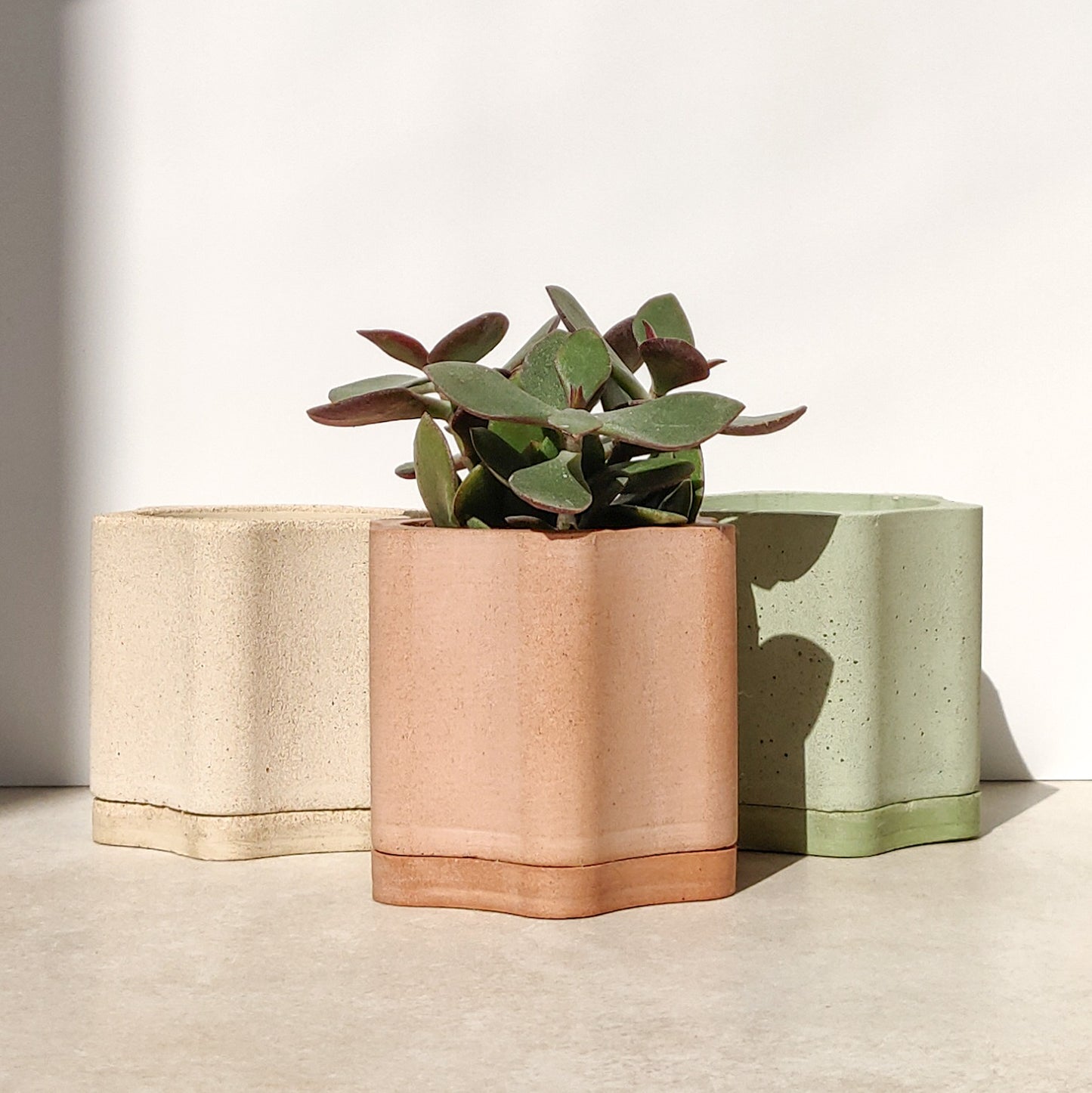 Wavy Flower Plant Pot with Water Tray and Drainage Hole