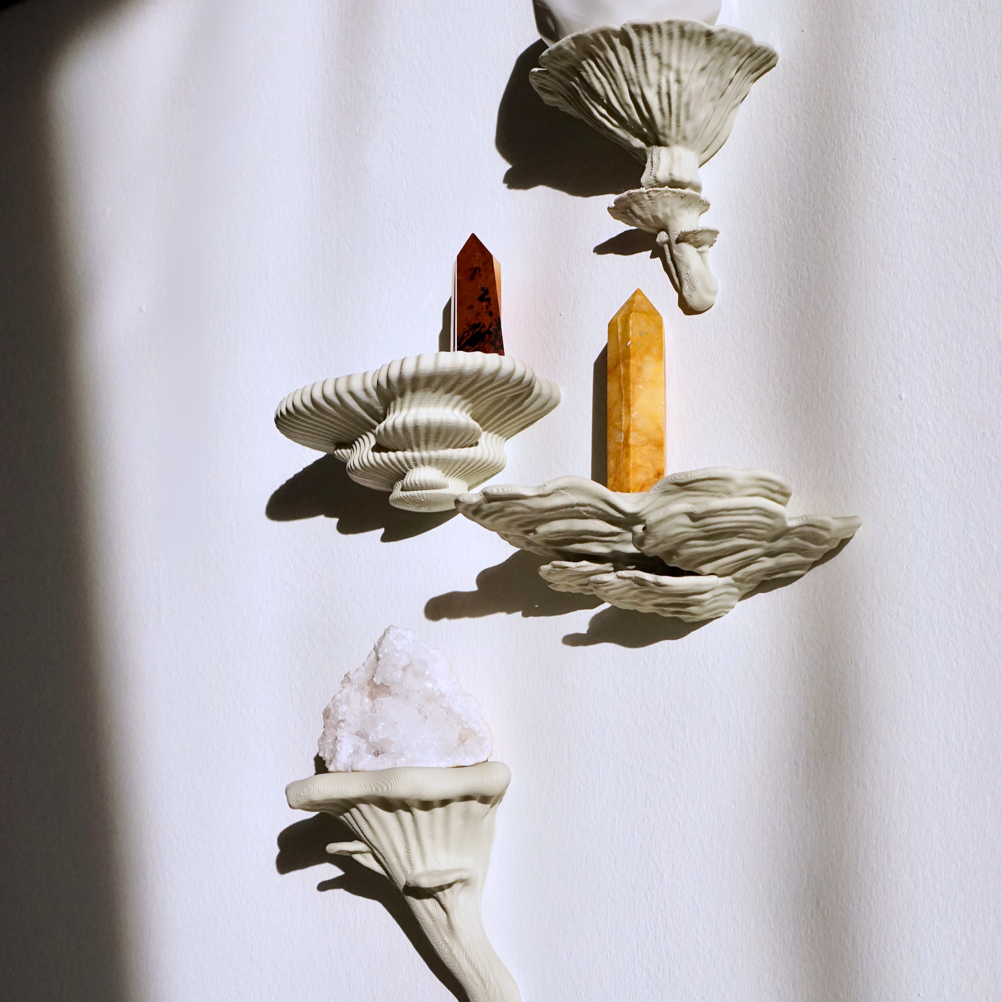 Mushroom Shelf Decor: Elevate Your Space Naturally