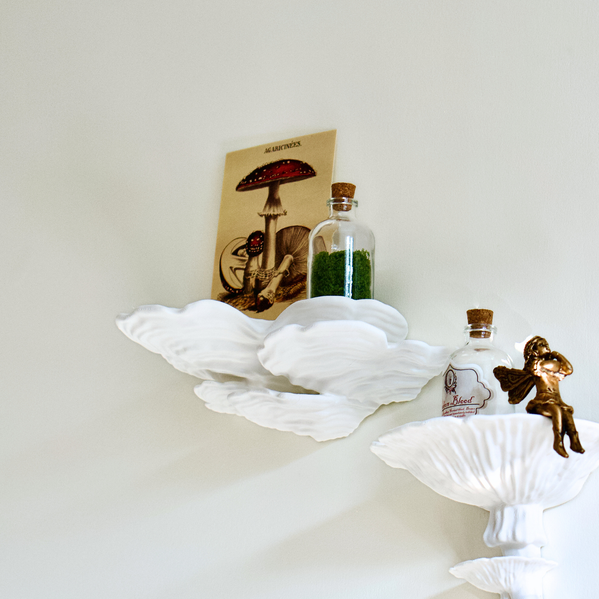 Ostrea and amanita style mushroom wall shelves featuring fairycore decor accessories including a small glass bottle,  a vintage mushroom postcard, and a bronze fairy statue