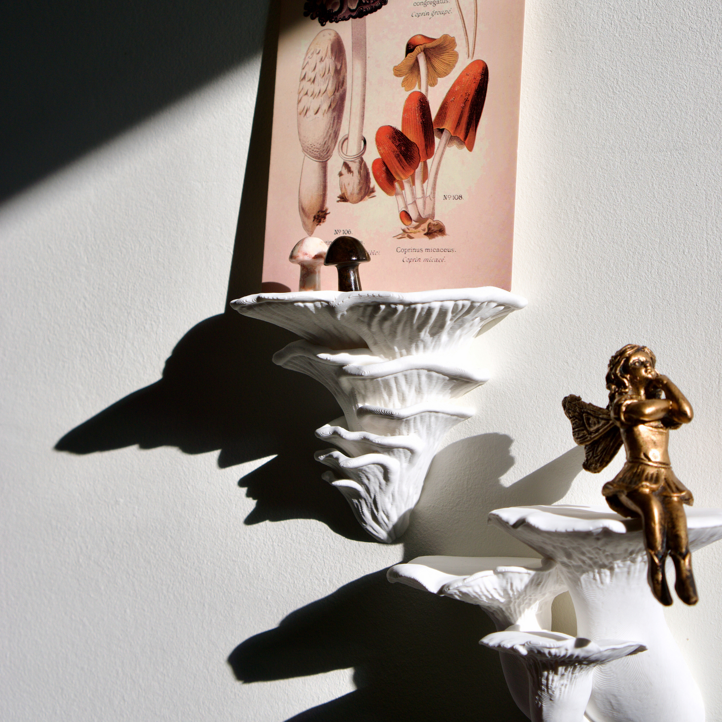 Decorative mushroom shelf wall decor featuring crystal mushrooms, a mushroom postcard, and a small bronze fairy.