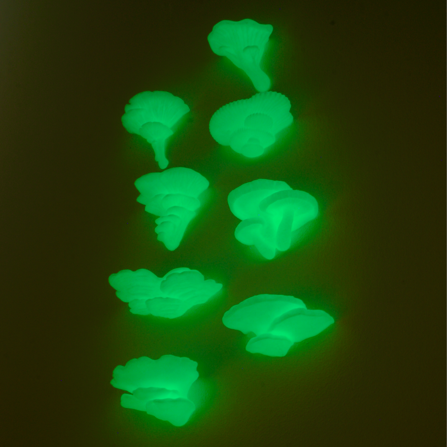 Mini Glow in the Dark Stick-on Mushrooms