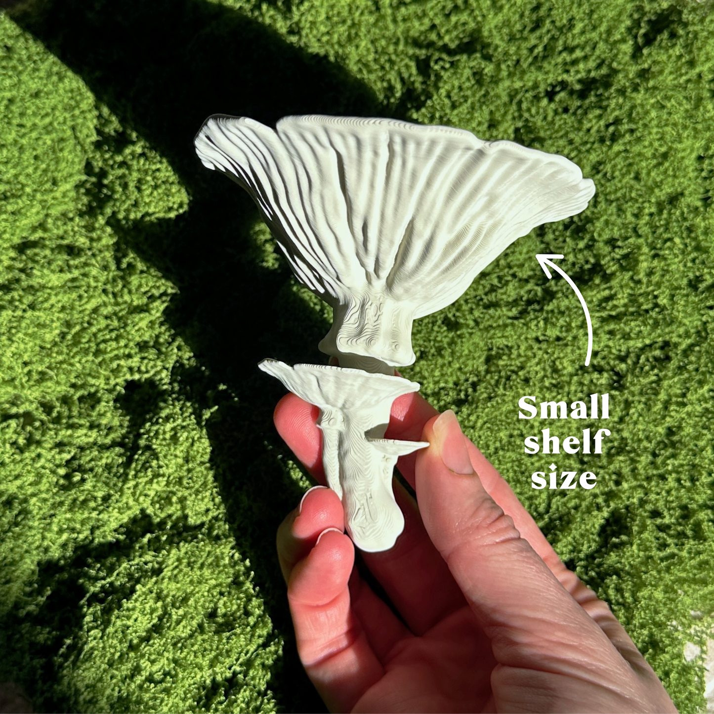 Small white mushroom wall shelf held by a hand against a green grass background