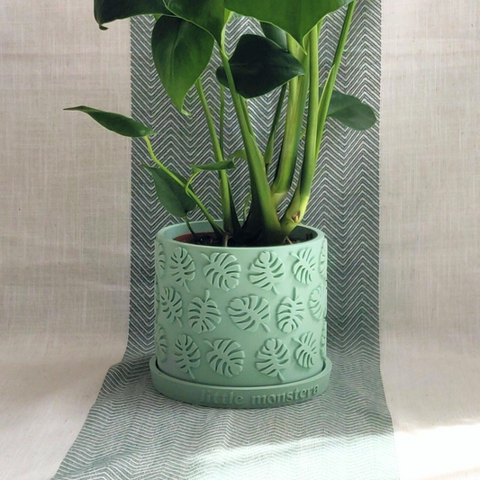Matte Green Monstera Leaf Plant Pot with Personalised Drip Tray