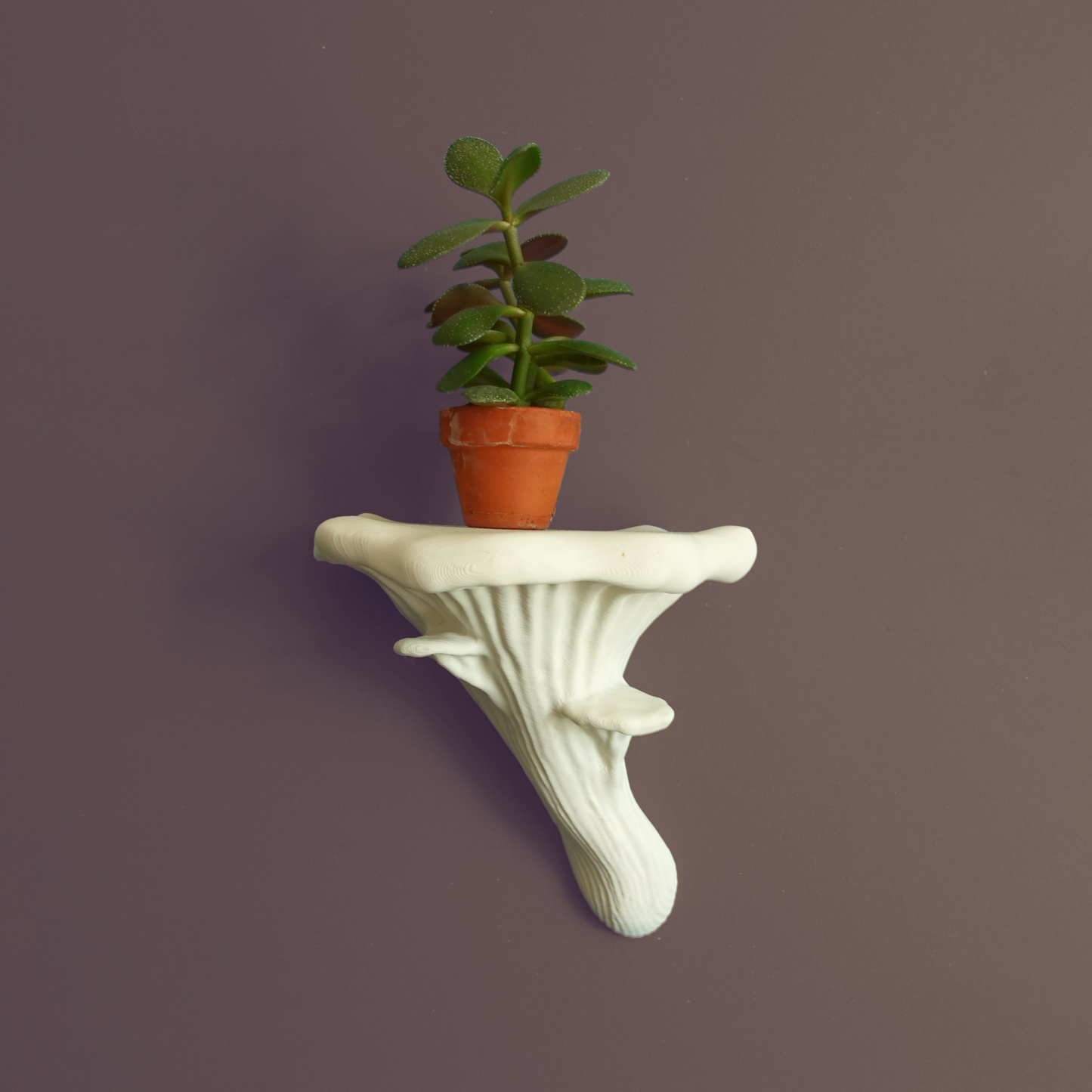 Floating Mushroom Shelves