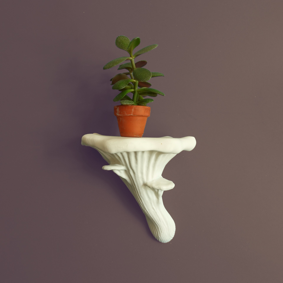Mushroom Floating Shelves | Wall Shelf | Hanging Shelves Wall Decor ...