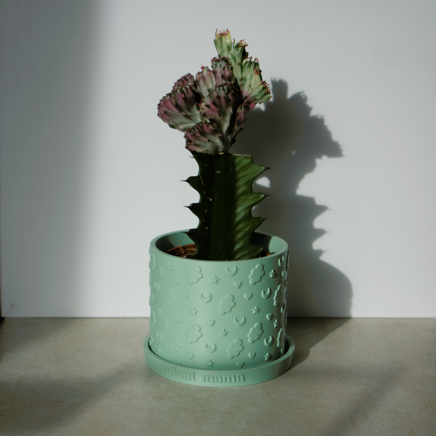 Celestial Plant Pot with Personalised Drip Tray