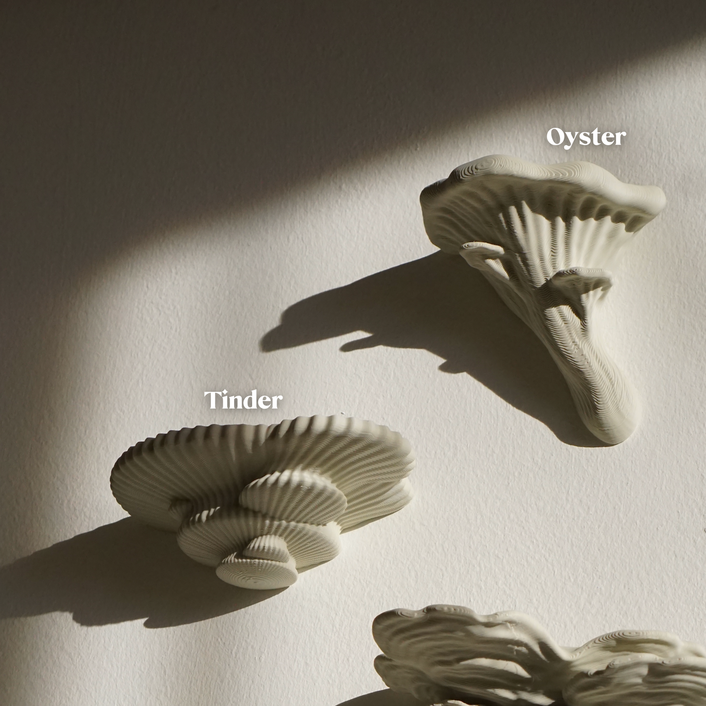 Floating Mushroom Shelves