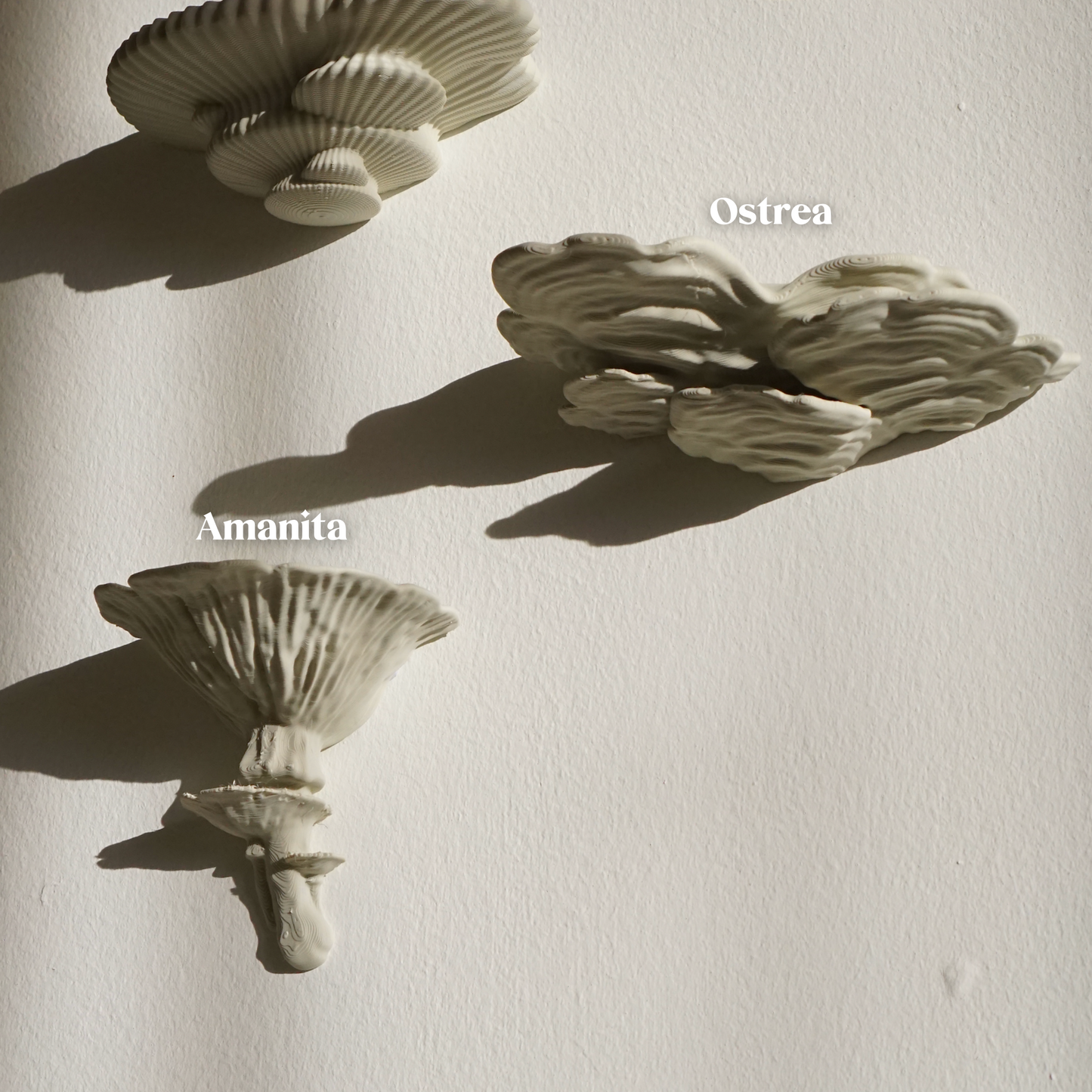 Floating Mushroom Shelves