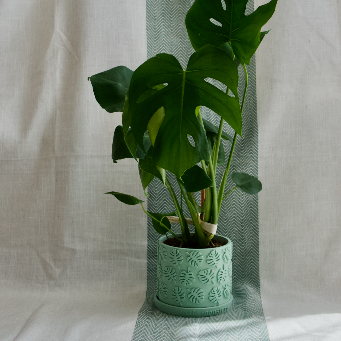 Monstera Leaf Plant Pot with Personalised Drip Tray