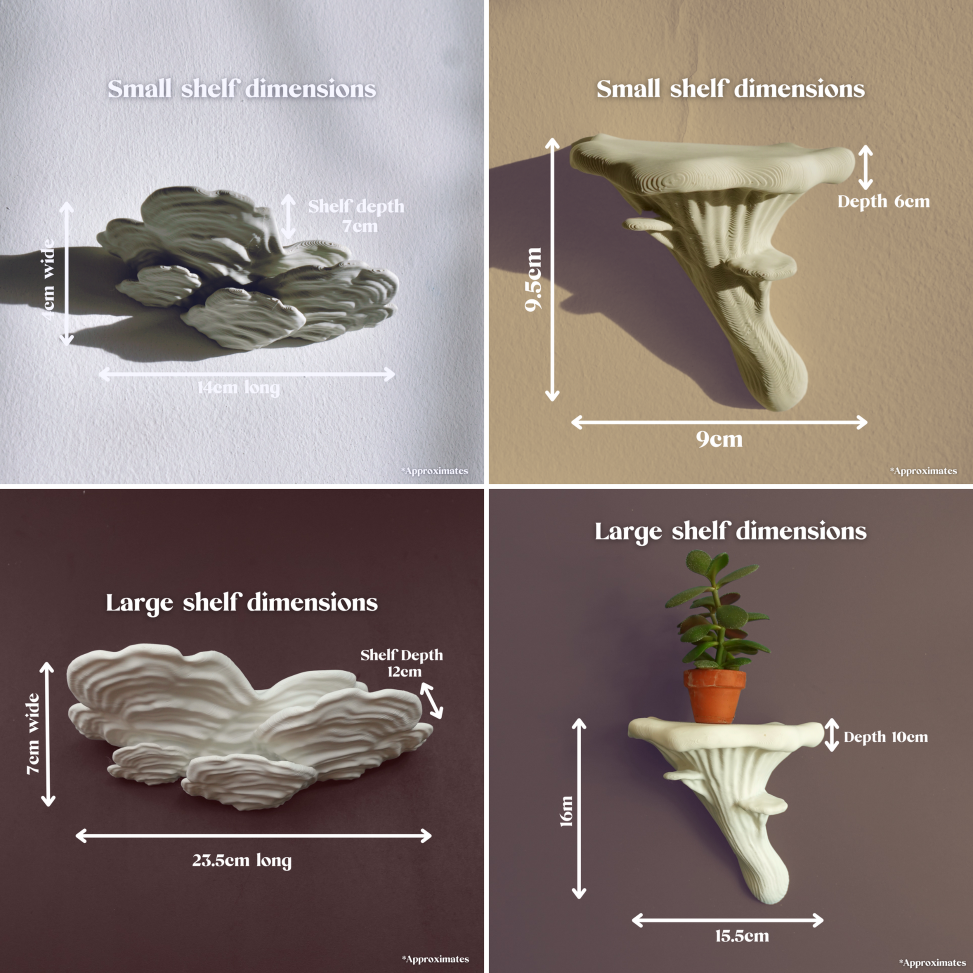 Our small and large ostrea and oyster mushrooms shelves and their dimensions